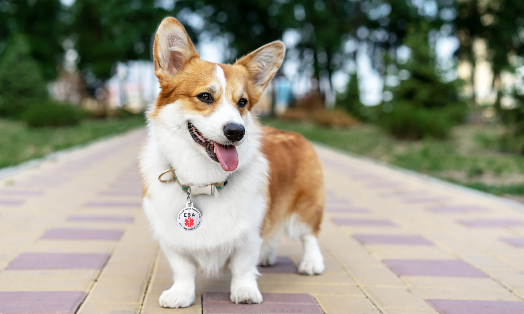 Service Dog and Emotional Support Animal Tags