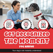 Service Dog Tag — Black / Medium–Large